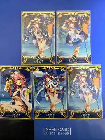 fgo 아케이드 창 타마모