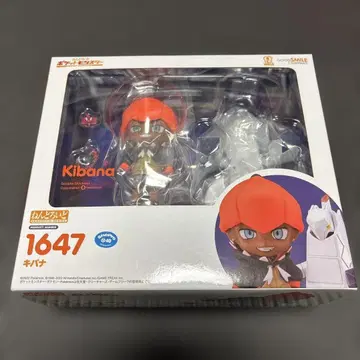 넨도로이드 포켓몬스터 포켓몬 소드 실드 키바나