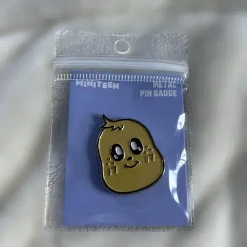 SEVENTEEN 세부치 미니틴 민규 김자 메탈 핀 배지