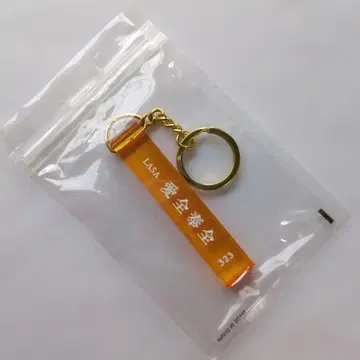 후지이 카제 아이젠호젠 키 체인