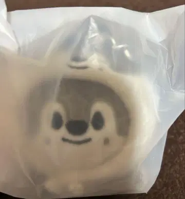 straykids 스키즈 skzoo 봉제 인형 반지 키링 울프 찬