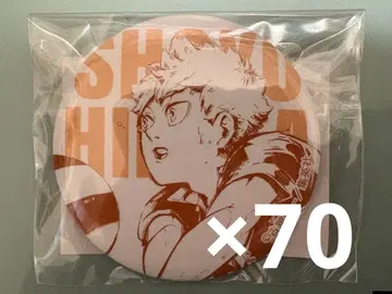 하이큐!! 센다이 관광 특사 취임 기념 캔뱃지 히나타 쇼요