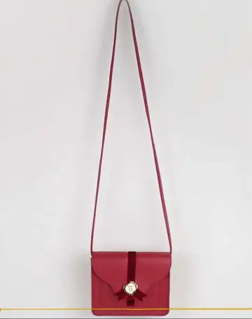 Harry Potter x Flapper 편지 미니백_울부짖는 이메일