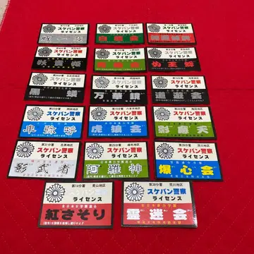 스케반 형사 경찰 라이선스