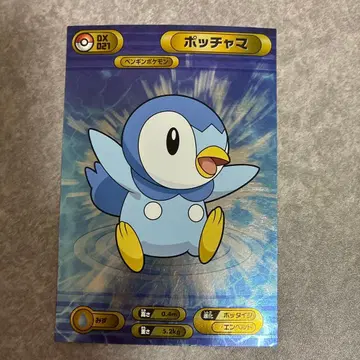 포켓몬 Bromides DX 카드다스 팽도리