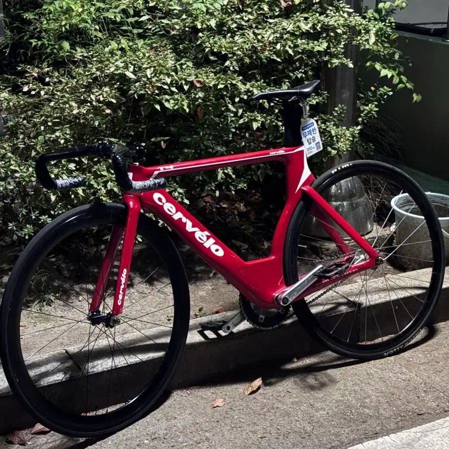 Cervelo t4 quick sale (including handle bar and pair of Pepo dual