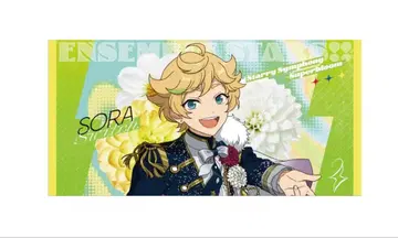 하루카와 소라 빅 비주얼 타월 스타포니