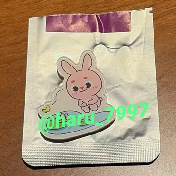 DAY6 the decade wonpil pil 원필 마그넷