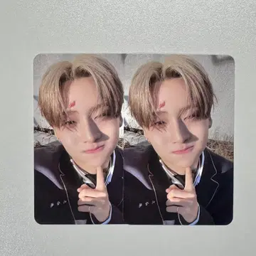 ALD1 애드원 삼원 트레이딩 카드 앨범 2장