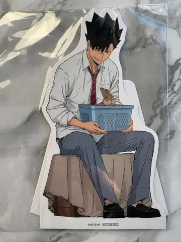 하이큐 토부 동물공원 스탠드팝 쿠로오 테츠로 2025