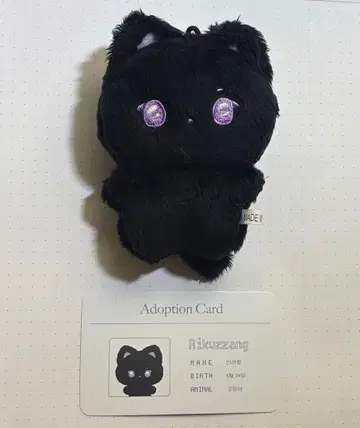 Nctwish 리쿠마스터 Rikuzzang 봉제 인형