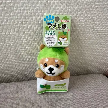 마메시바 샤인머스캣
