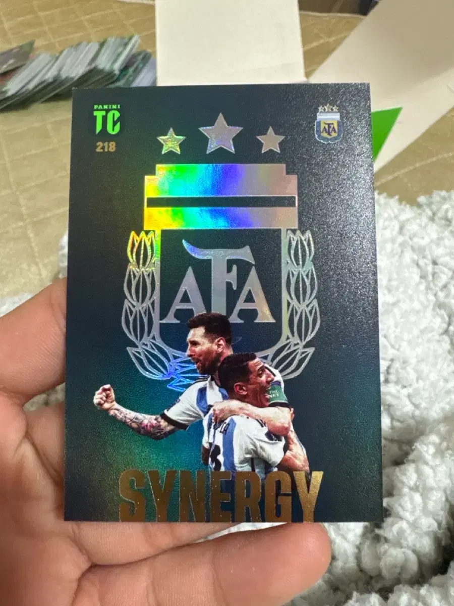 파니니 메시 축구 카드 아르헨티나 시너지