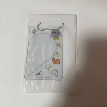 손영드리 사진 카드 슬리브 랜덤 토이 riize