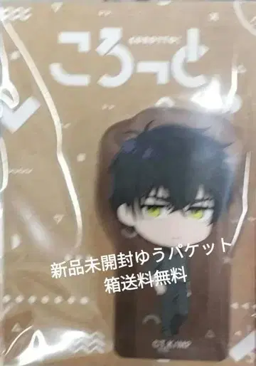 메달리스트 요타카 준 코롯토 발렌타인