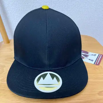 포켓몬 챔피언 단델의 캡