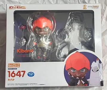 포켓몬스터 키바나 넨도로이드