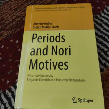Periods and Nori Motives
