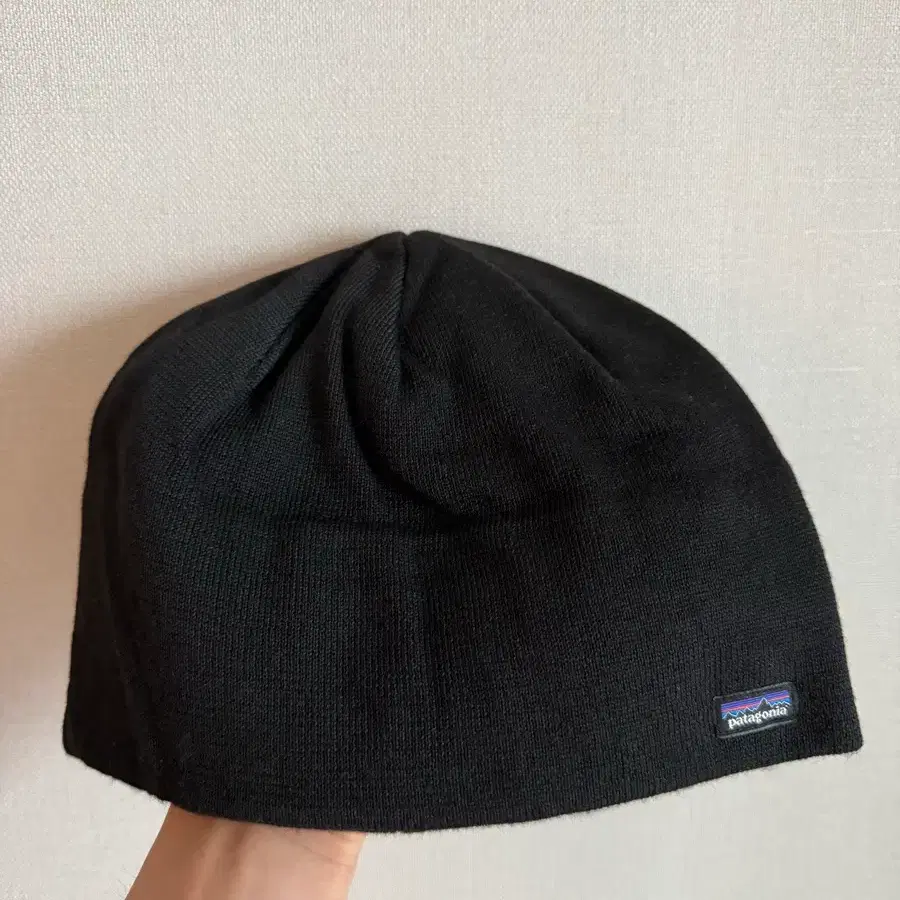 New Product] Hong Tae-jun Beanie Patagonia Micro D Beanie L Size