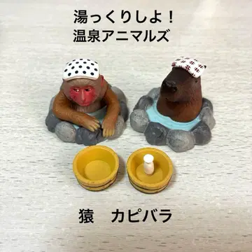 푹 쉬자! 온천 애니멀 카피바라 원숭이