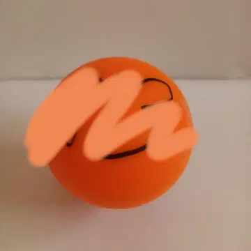 타카네노 나데시코 히가시야마 에리사 사인볼 타카네코 아이돌