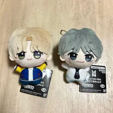 BTS TinyTAN DNA SD 인형 V JIMIN 뷔 지민