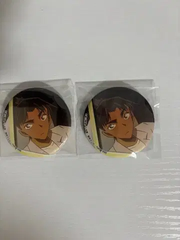 하인성(핫토리 헤이지) 캔뱃지 트레이딩 카드