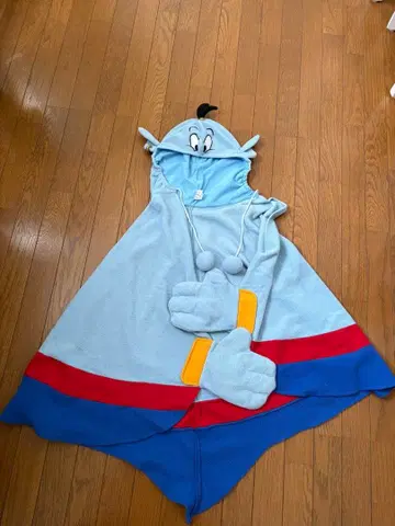 지니 판초 코스튬 디즈니 리조트 알라딘