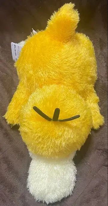 포켓몬 코닥 모후굿토