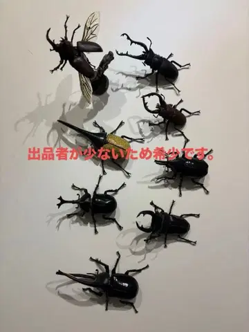 생물대도감 미니 컬렉션 세트