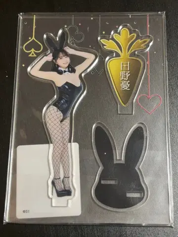 타노 유우 아크릴 스탠드 FANZA 온라인 복권