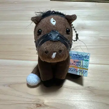 아이돌 호스 그랑 알레그리아 마일 CS S 사이즈