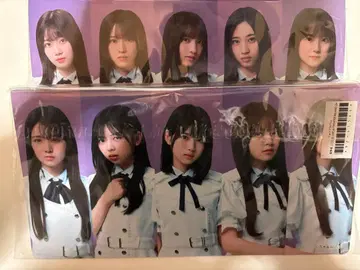 노기자카46 6기생 신참자 2025 사진 앨범 미개봉