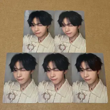 매튜 라키도르 트레이딩 카드 5장 KCON LA 2025 MD ZB1