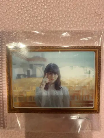 사쿠라자카 모리타 히카루 액자 마그넷 승인욕구