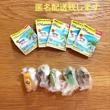 지구의 산책 하와이 기념품 미니어처 컬렉션 2 전 5종 컴플리트 익명