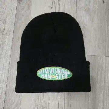 에브선 절대로 죽지 않는 햄스터 절햄 에브리데이 선데이 햄스터