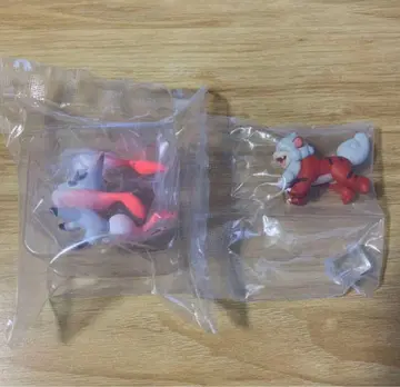 포켓몬 스케일 월드 비취 지방 조로아(비취) 꼬부기(비취)