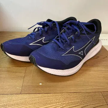 MIZUNO 미즈노 듀얼 플래시 러닝화 26cm