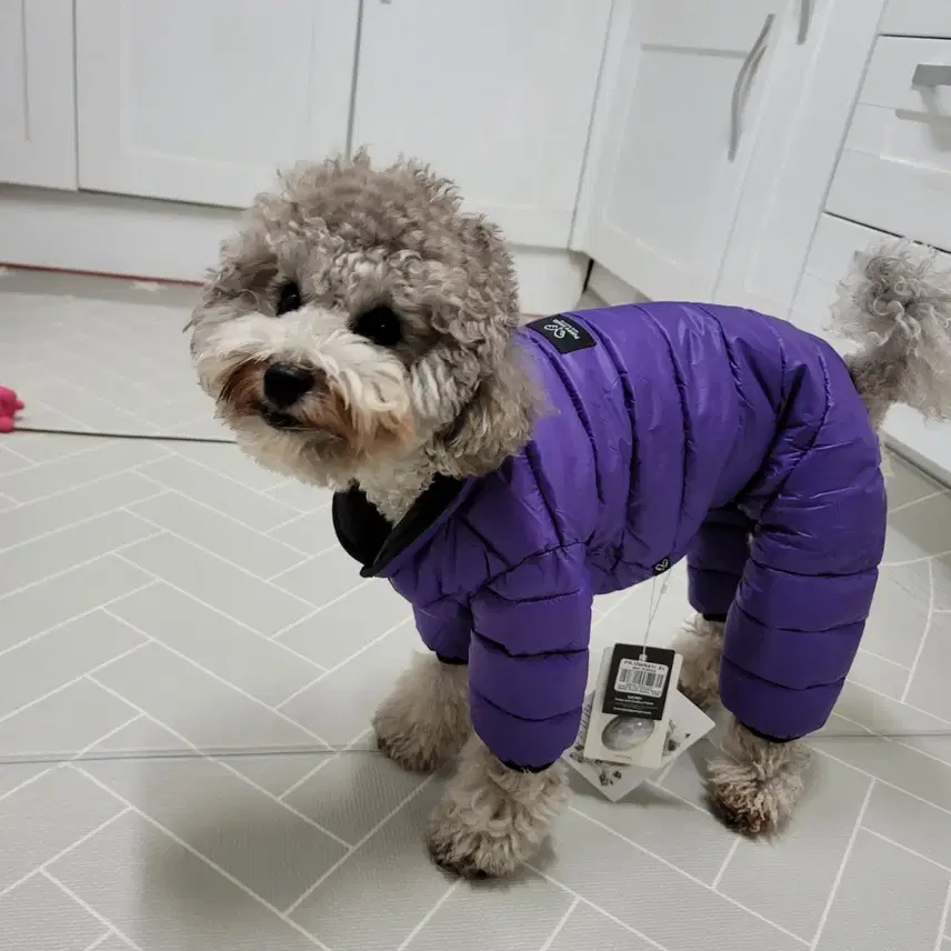 子犬パディングオールインワン