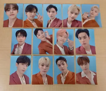 SEVENTEEN BE THE SUN 스티커 13장 묶음 판매