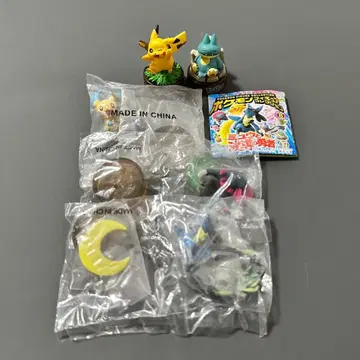 포켓몬 카이요도 피규어 5체 세트