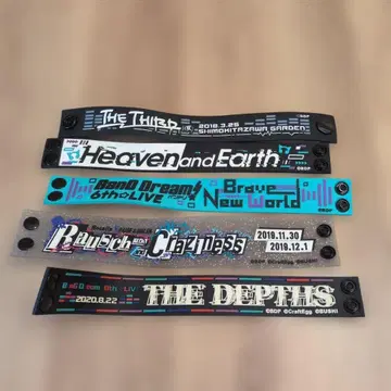 RAISE A SUILEN 러버 밴드 세트 THE THIRD (가칭)