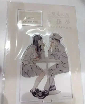 후루야 토마루 라이치 히카리 클럽 백일몽 카논 라이조 라이치 히카리 클럽