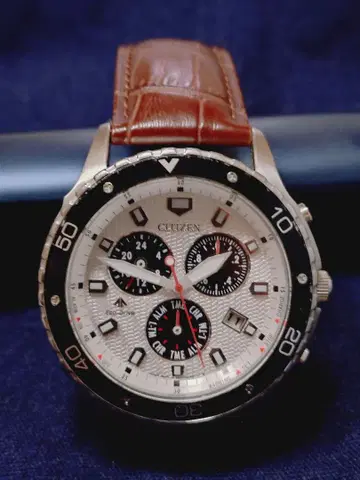 CITIZEN 프로 마스터 에코 드라이브