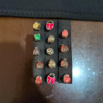 [최종 가격 인하] 무당벌레 귀걸이 세트