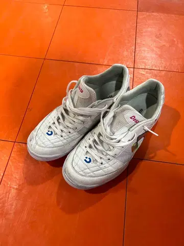 데스포르치 리오 25.5cm