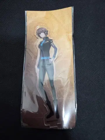 슈타인즈 게이트 제로 아마네 스즈하 아크릴 스탠드