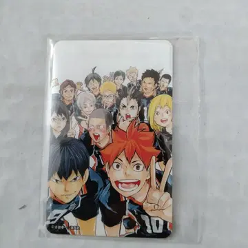 하이큐!! piica 피카 카라스노 집합