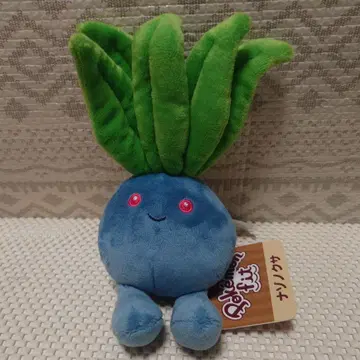 포켓몬 fit 나조노쿠사 포켓몬 센터 한정판